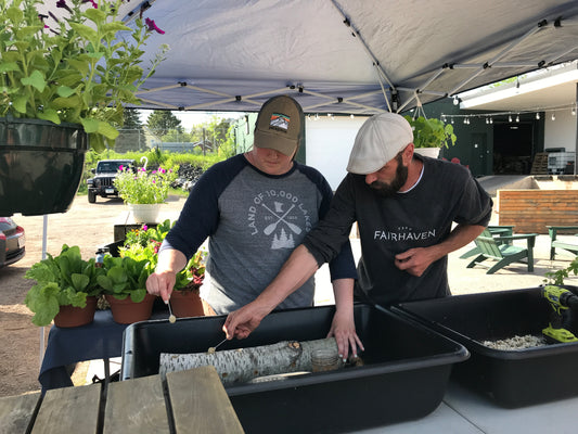 Gourmet Mushroom Cultivation Workshop